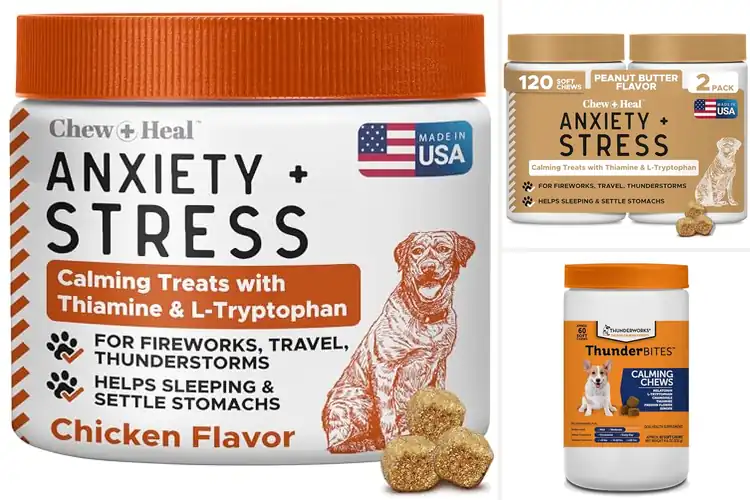 Detailed view of Best Natural Calming Treats With Melatonin And Ginger