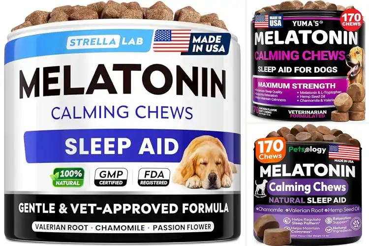 Detailed view of Best Natural Dog Sedatives For Sleep