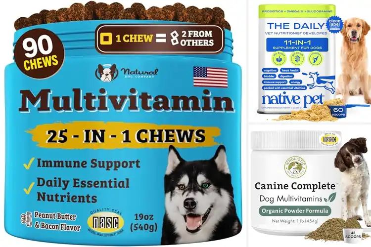 Detailed view of Best Natural Dog Supplements