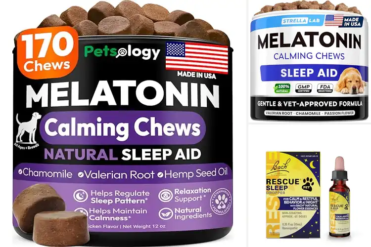 Detailed view of Best Natural Sleep Aids For Dogs