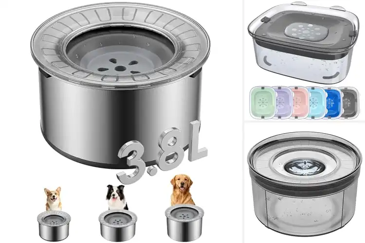 Detailed view of Best No Spill Water Bowls For Dogs: Top 10 Mess-Free Picks