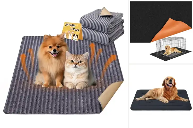 Detailed view of Best Non Slip Pet Beds For Slippery Floors