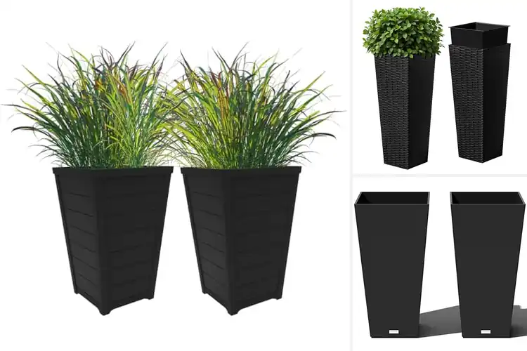 Detailed view of Best Outdoor Planters