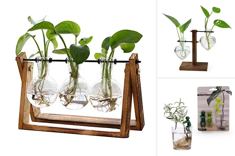 Detailed view of Best Plant Lover Gifts