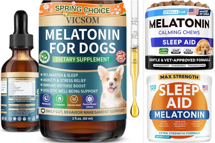 Detailed view of Best relaxation and sleep aids for dogs