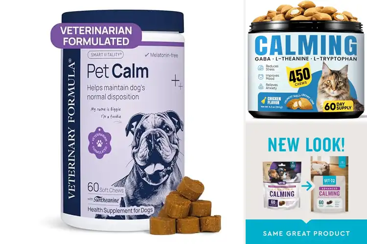 Detailed view of Best Relaxation Treats: Natural Calming Solutions for Pets