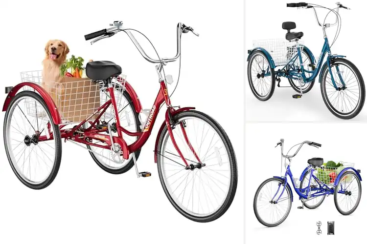 Detailed view of Best Senior Citizen Tricycles
