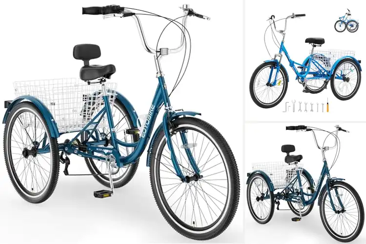 Detailed view of Best Senior Citizen Trikes