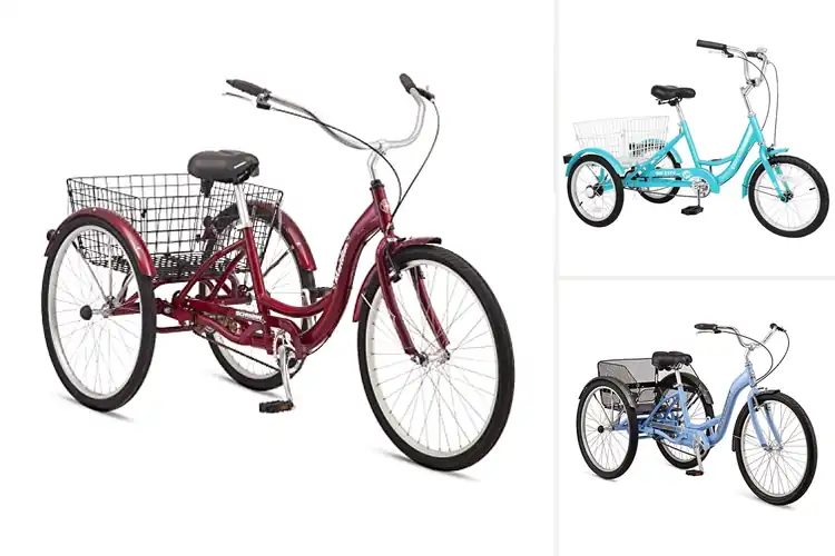 Detailed view of Best Single Speed Trikes: Top 10 Models for Comfort & Fun