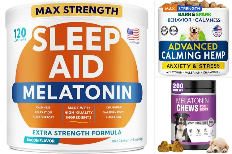 Detailed view of Best Sleep Aiding Dog Treats