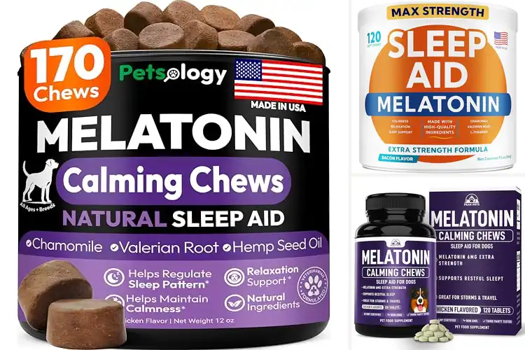 Detailed view of Best Sleep Promoting Dog Supplements