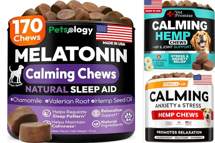 Detailed view of Best Sleep Support Chews For Dogs