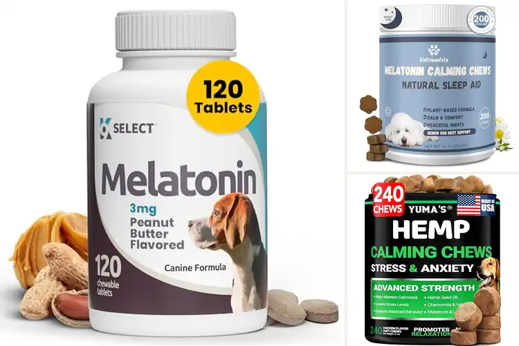 Detailed view of Best Sleep Support For Dogs