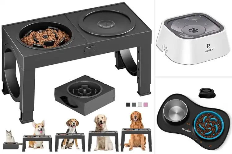 Detailed view of Best Slow Feeder Water Bowls For Dogs