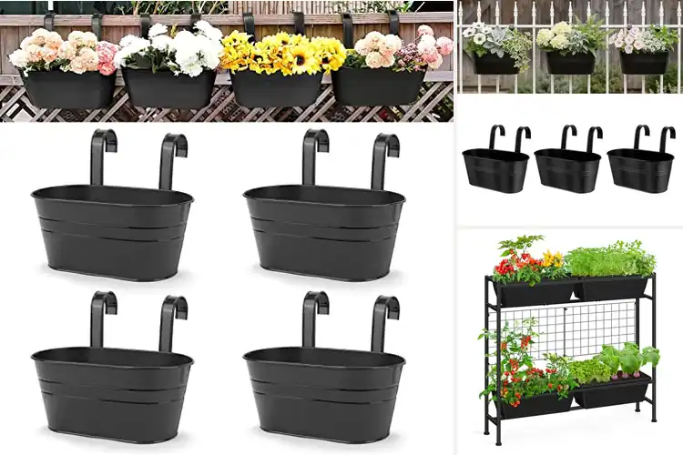 Detailed view of Best Small Balcony Planters