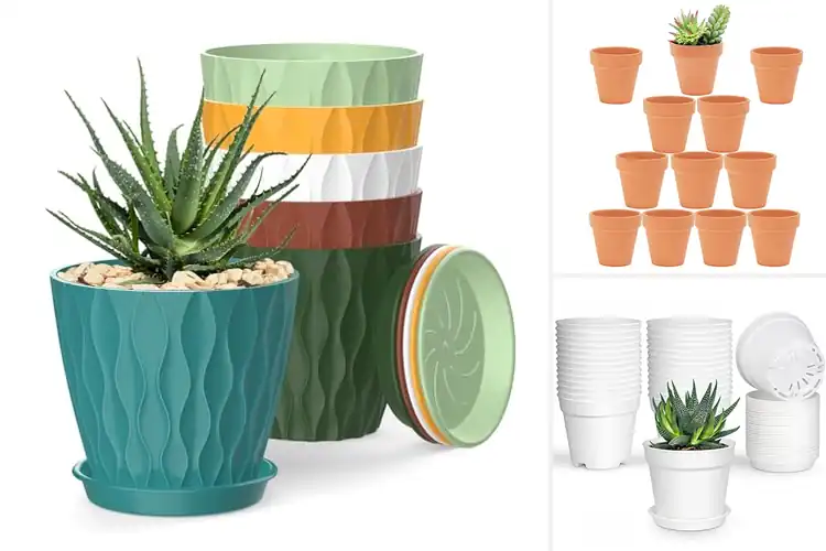 Detailed view of Best Small Flower Pots