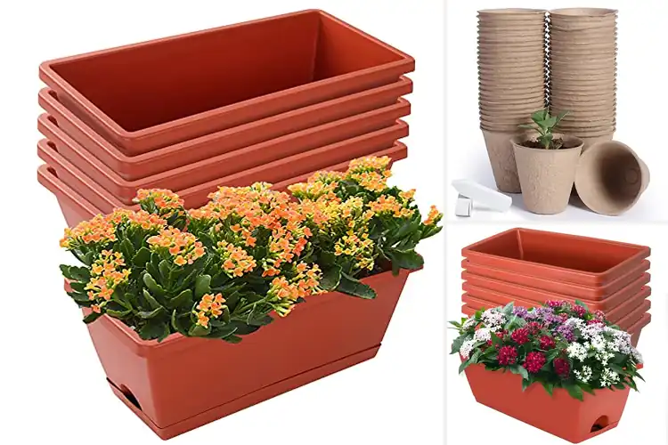 Detailed view of Best Small Garden Planters