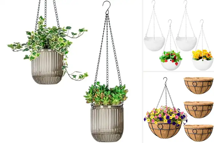 Detailed view of Best Small Hanging Planters