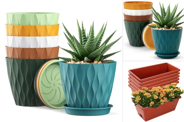 Detailed view of Best Small Outdoor Planters