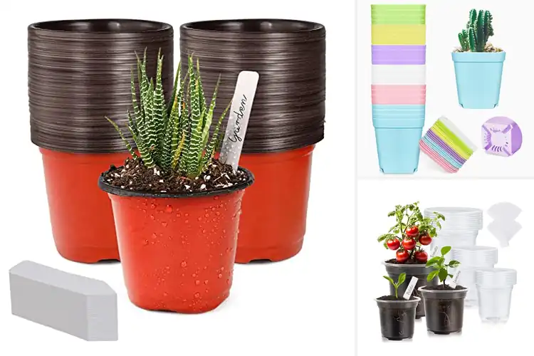 Detailed view of Best Small Planter Pots
