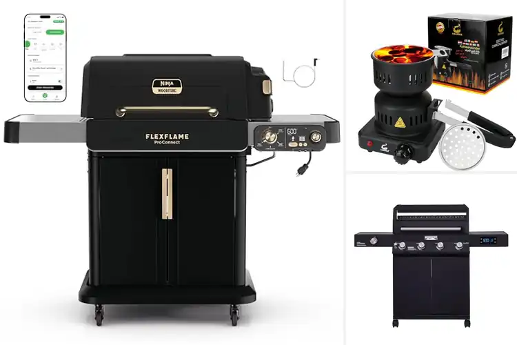 Detailed view of Best Smart Controlled Burners