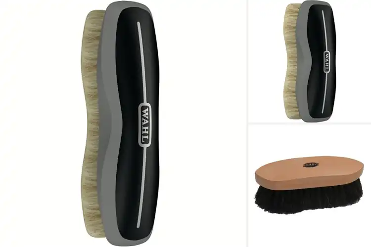 Detailed view of Best Soft Horse Brushes