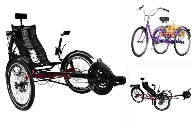 Detailed view of Best Stable Riding Trikes