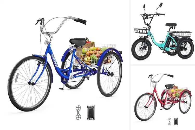 Detailed view of Best Stable Tricycle For Adults