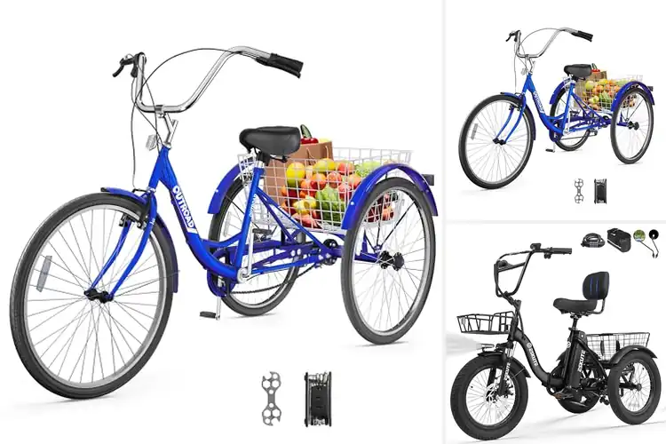 Detailed view of Best Stable Tricycles For Seniors