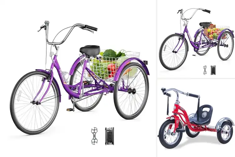 Detailed view of Best Stable Trikes for Confident and Effortless Riding