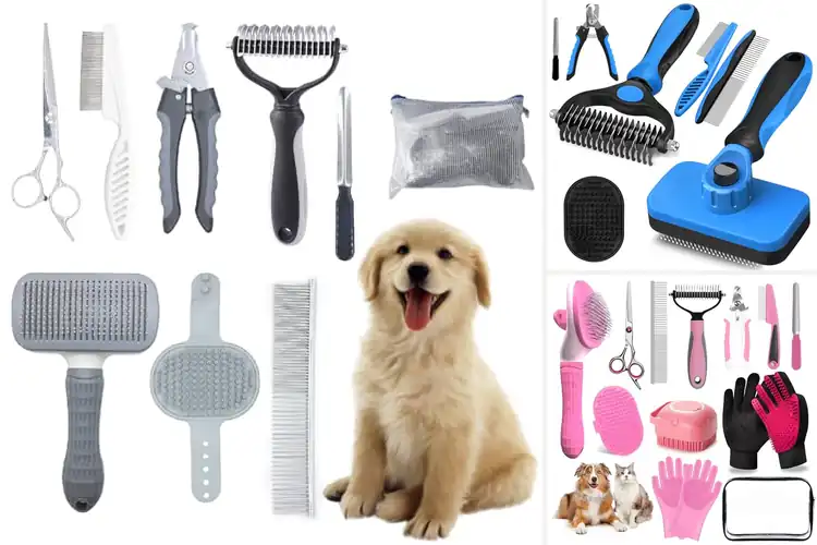 Detailed view of Best Starter Grooming Kits