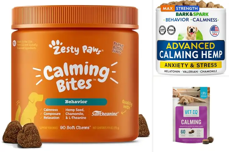 Detailed view of Best Stress Reduction For Dogs