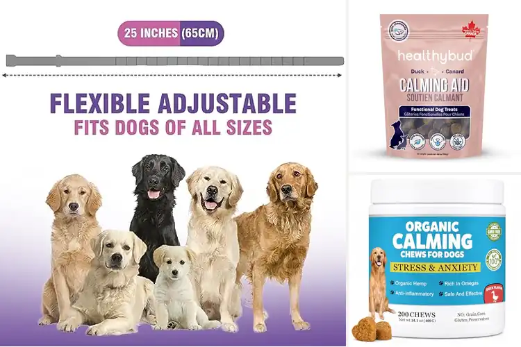 Detailed view of Best Stress Reduction For Dogs With Separation Anxiety