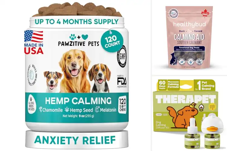 Detailed view of Best Stress Reduction For Separation Anxiety