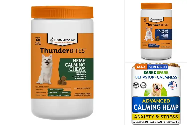 Detailed view of Best Stress Relief For Fireworks And Thunder