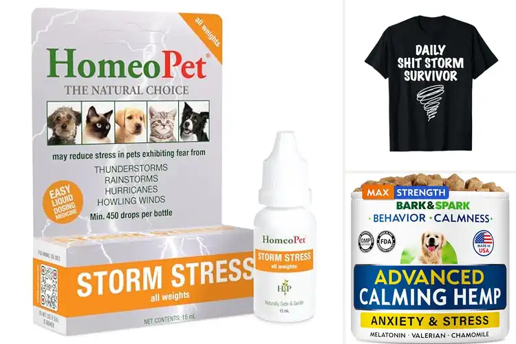 Detailed view of Best Stress Relief For Storms