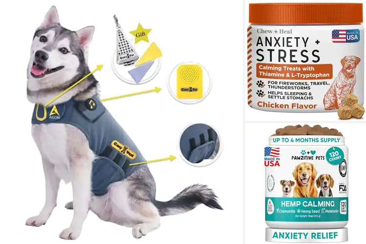 Detailed view of Best Stress Relief For Thunderstorms And Fireworks