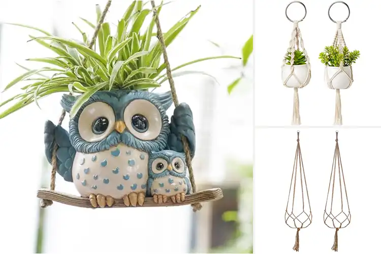 Detailed view of Best Succulent Plant Hangers: 10 Stylish & Charming Options