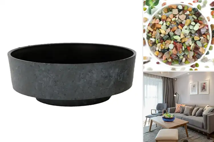 Detailed view of Best Succulent Planters