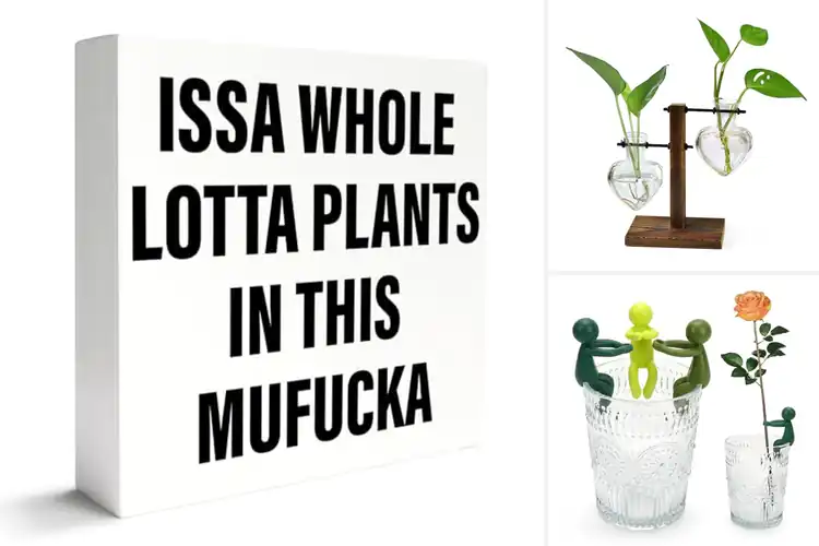 Detailed view of Best Suitable Gift For Plant Lovers