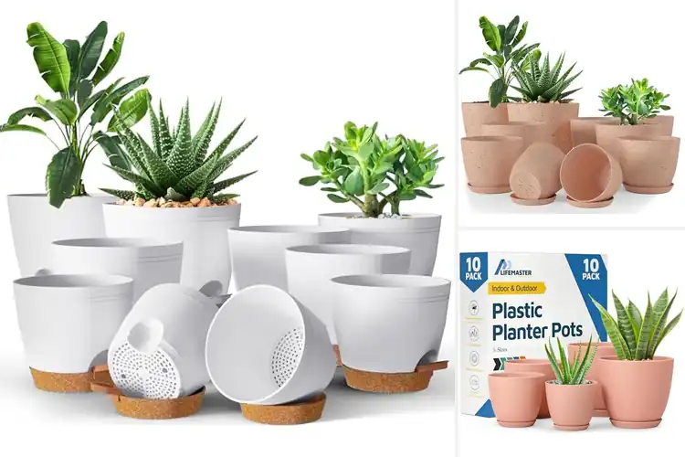 Detailed view of Best Ten Pack Planter Set