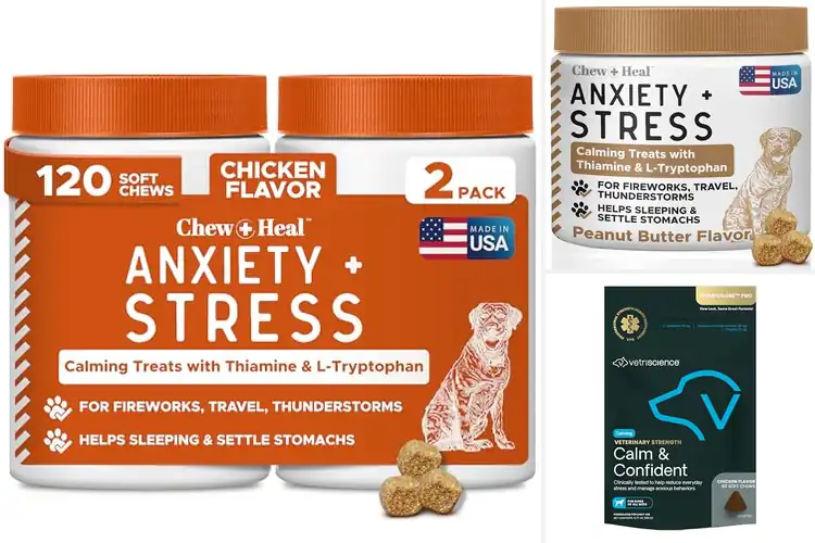 Detailed view of Best Thiamine Based Stress Reduction For Dogs