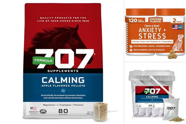 Detailed view of Best Thiamine L-Tryptophan Supplements