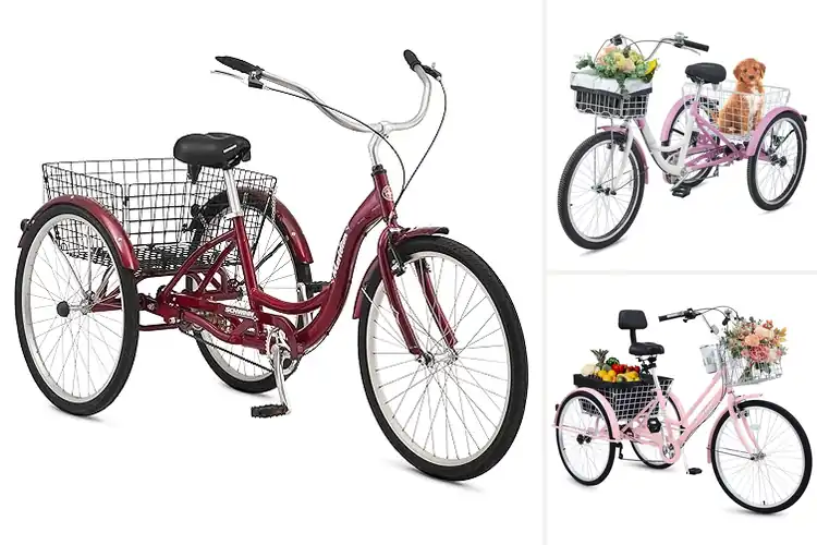 Detailed view of Best Three Wheel Beach Cruisers