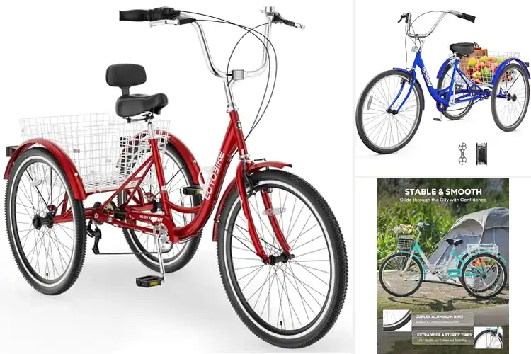 Detailed view of Best Three-Wheel Bikes for Ultimate Stability & Comfort Ride