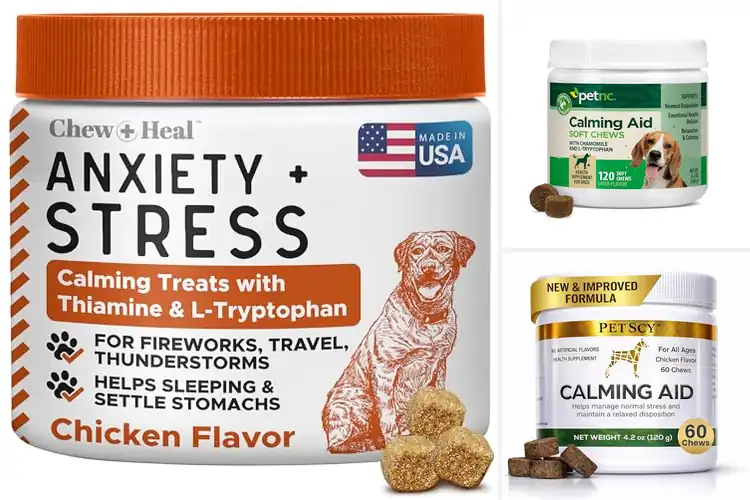 Detailed view of Best Travel Calming Digestive Chews