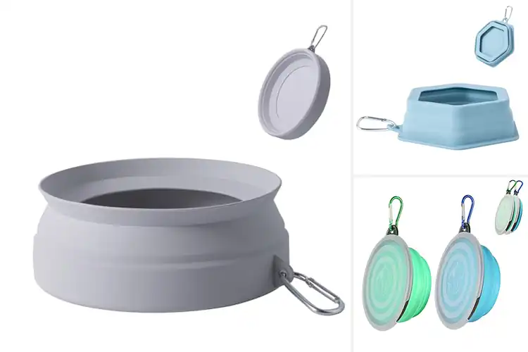 Detailed view of Best Travel Dog Water Bowls For Road Trips