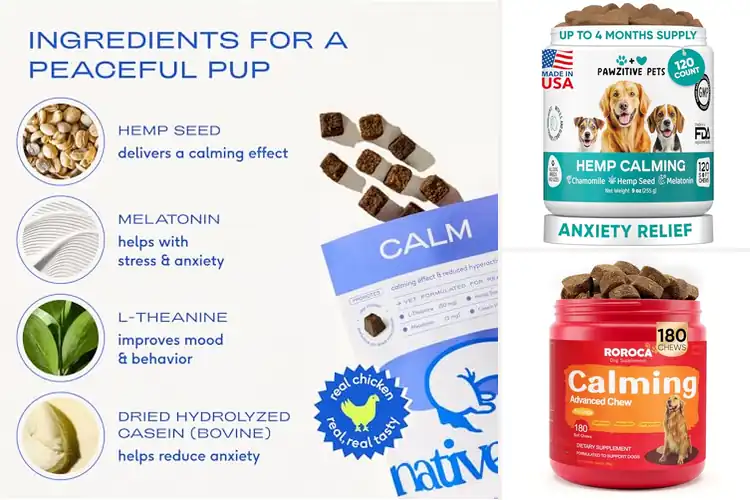 Detailed view of Best travel-friendly calming treats for dogs