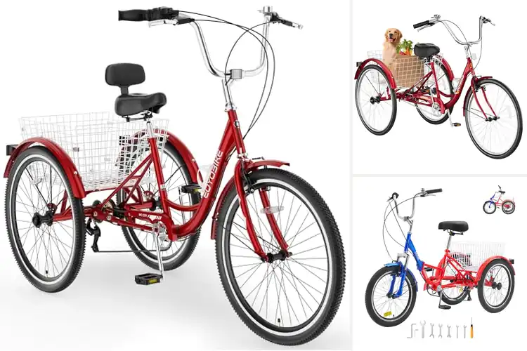 Detailed view of Best Tricycles for Seniors