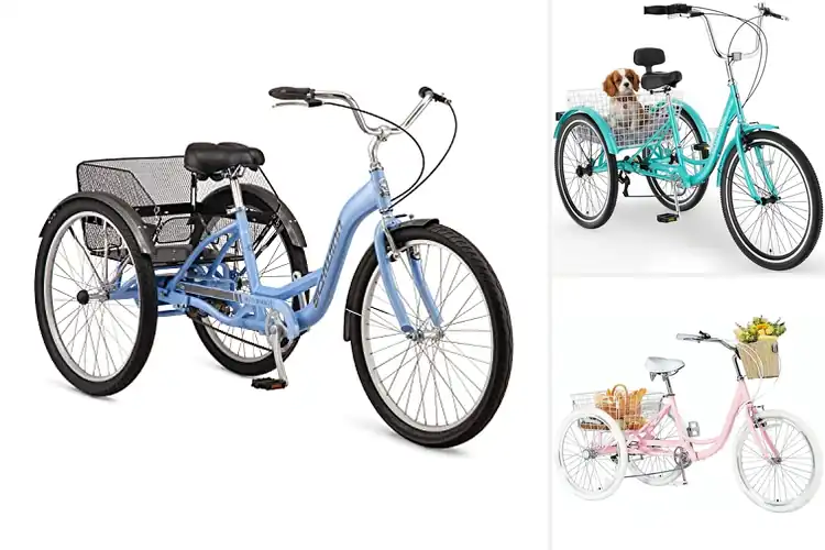 Detailed view of Best Tricycles with Baskets
